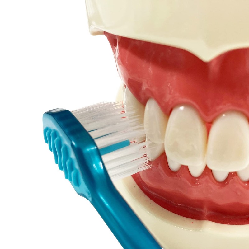 Ebis Premium Care Teeth Whitening, 6 Row Compact, Normal, Set