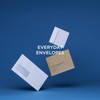 Blake TS-130129 DL Purely Everyday Self Seal Envelope, 80gsm, 110mm