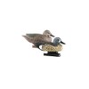 Avery Life-Size Blue-Winged Teal (1/2 Dozen)