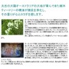 ha-texi-ha-to texi-tori-syanpu- Telling Replacement for 420ml