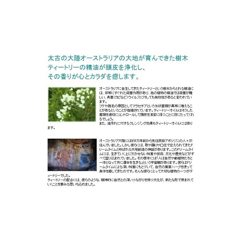 ha-texi-ha-to texi-tori-syanpu- Telling Replacement for 420ml