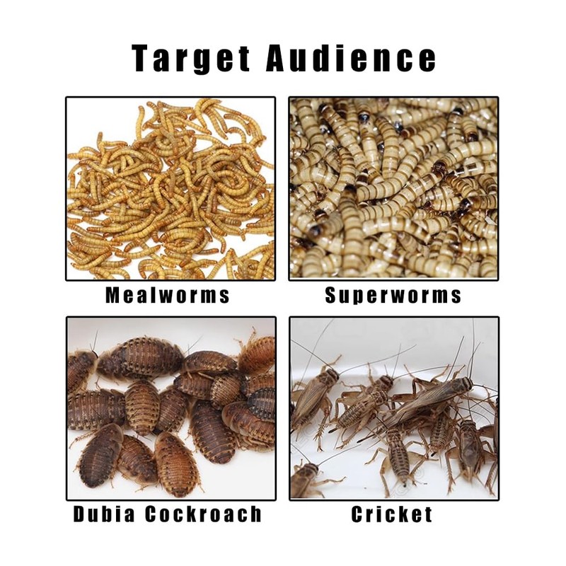 WOLEDOE Acrylic Superworms Keeper, Mealworms Container fit Dubia Roach -