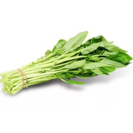 50+White Stem Water Spinach Seeds Ong Choy,Kong Xin Cai,Heavy Producer Fresh USA