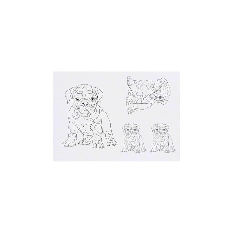 Azeeda 4 x 'Britischer Bulldoggenwelpe' Temporäre Tattoos - Wasserfest, Hautfreundlich