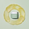 Kim Jung-moon Aloe Cure Realoe Signature Cream 55g / 김정문알로에