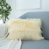 LIGICKY Set of 2 Luxury Series Soft Faux Fur Cushion