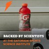Gatorade Thirst Quencher,Fruit Punch, 12 Fl Oz (Pack of 12)