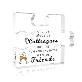 Colleagues Gifts,Leaving Friendship Work Bestie Chance Made us Colleagues Thank You end of Year Appreciation Special Christmas Farewell New Job Gifts for Friends Acrylic Plaque Ornaments