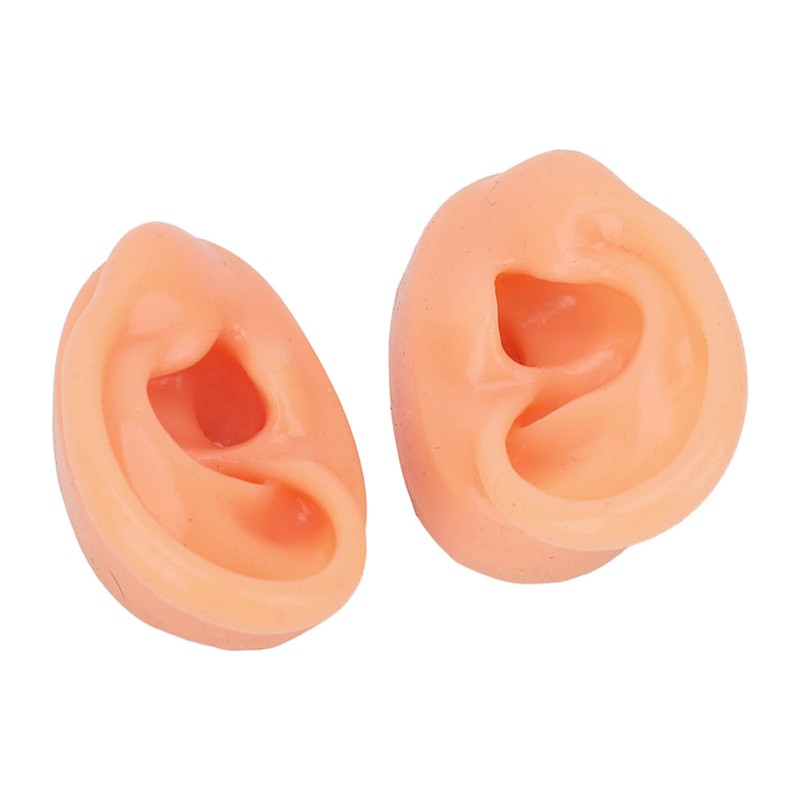 Silicone Ear Model Human Artificial Ear Display for Hearing Aids