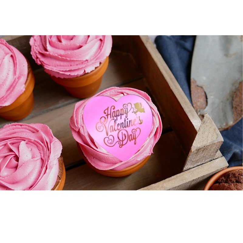 6x Valentine's Day Acrylic Cupcake Toppers Heart shaped Tags Valentines