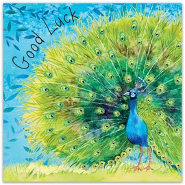 Twizler Good Luck Card with Peacock – Good Luck New Job Card – Good Luck Exams Card – Good Luck Driving Test Card – Good Luck New Home Card – Good Luck Gifts