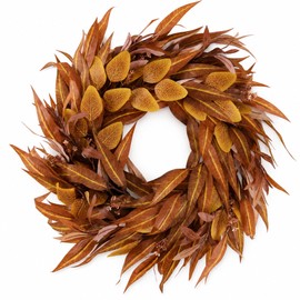 24Inch Artificial Fall Wreath for Front Door Decor Money Leaf Olive Branch