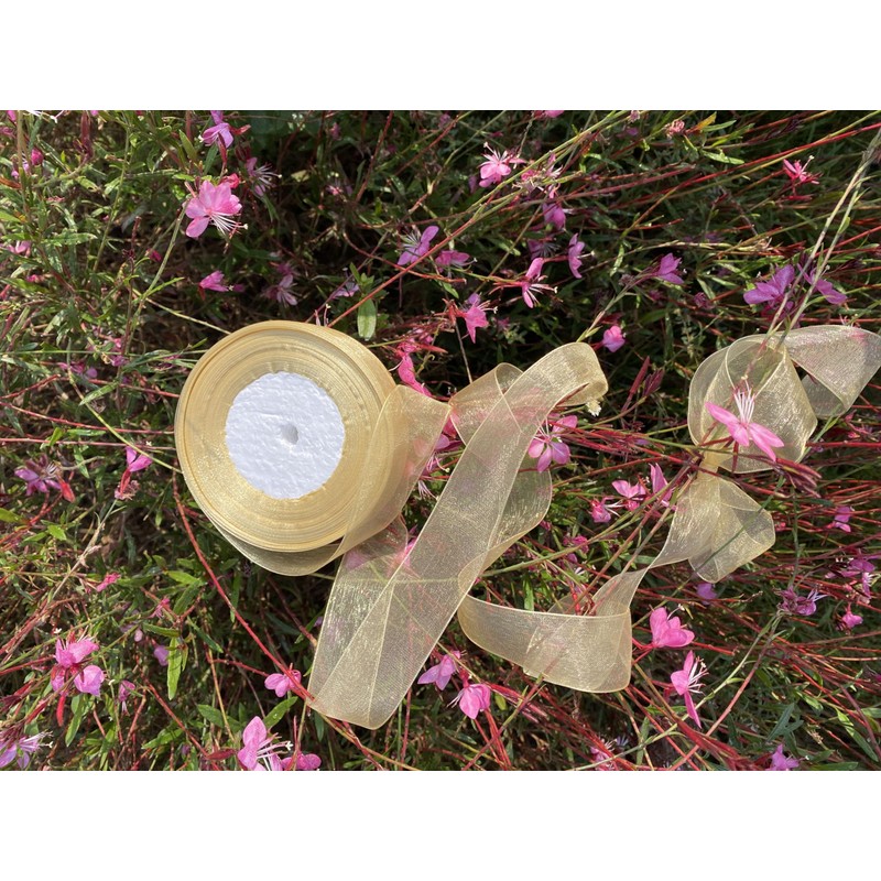 BEAUTOPE 1.5 Inches Wide Sheer Organza Chiffon Ribbon for Gift