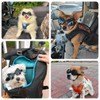 Billionchains Dog Goggles for Small Breed UV/Wind/Dust Protection Puppy Sunglasses