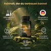 Supplenatura® Lungwort Capsules, Value Pack, German Production, Vegan, Laboratory Tested,