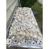 Combo Oyster Shell Set (Flats + Cups, 2–4”) - Size: