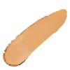 Neutrogena Hydro Boost Hydrating Foundation Stick with Hyaluronic Acid, Oil-Free