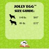 Jolly Pets Jolly Egg Dog Toy, 12 Inches/Large, Red