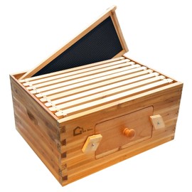 10 Frame Langstoth Deep Brood Beehive Box, Bee Box Dipped In 100% Beeswax, Wax Coated Bee Hive with Transparent Acrylic Windows Frames and Foundations Sheets for Beekeeping Supplement
