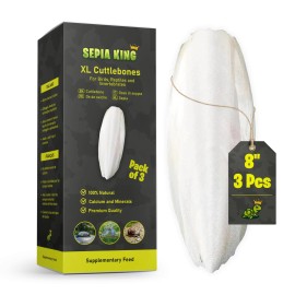 Sepia King - Extra Large - 100% Natural Calcium Supplement - Premium Cuttlebone Perfect