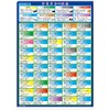 The Access Umiushi Picture Book Clear File A4 Umiushi Encyclopedia