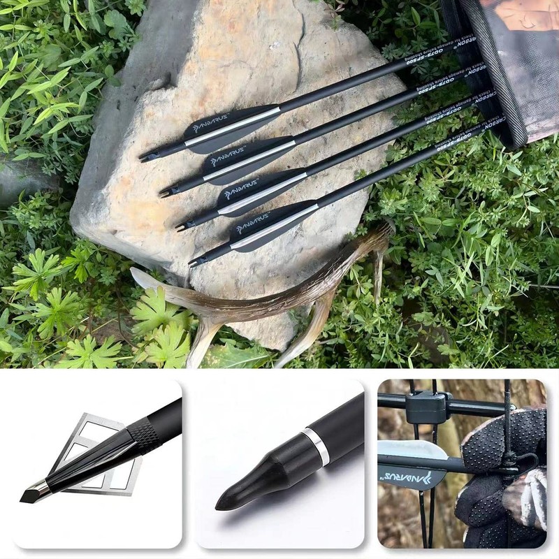 PANDARUS Compound Bow Draw Weight 0-70 Lbs for Pull Beginner