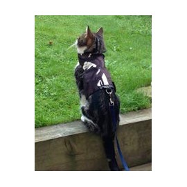 Mynwood Cat Jacket Harness for Kittens or Adult Cats (Arctic Camouflage, Kitten)