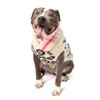 Chilly Dog Leopard Sweater (Large)
