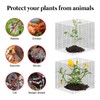 10 Pack Plant Protector from Animals, 12'' x 12'' Square