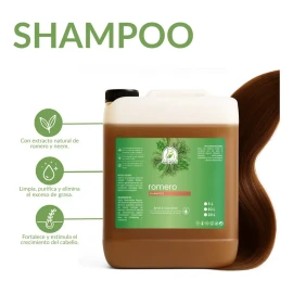 Shampoo de Romero Productos Mart Mexico para Cabello Hipoalergénico en Garrafa de 20 L