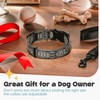 Dog Collar for Medium & Large Dogs - Black Silver