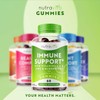 Immune Support Gummies - Elderberry Extract (4500mg Equivalent), Vitamin D