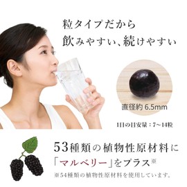 [Official] Manda Enzyme Mulberry Mulberry Grain Type, 7 Capsules x 60 Packets (Approx. 2 Months Supply)