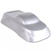 PBTP Powder Coating Paint  RAL 9006 White Aluminum 1LB (.45KG)