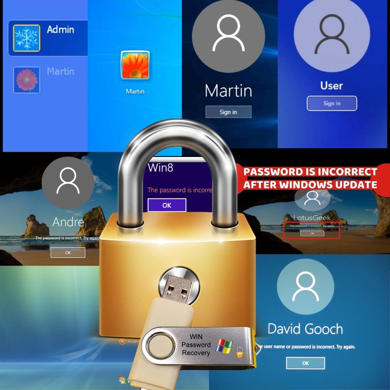 Linux & Windows Password Reset USB Flash Drive – Recover,