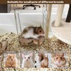 ZYPHOLIE Wooden Hamster Playground (Wood, Large)