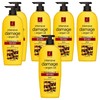 Elastin Moroccan Argan Oil Intensive Nourishing Damage Conditioner, 6 Pieces, 680ml / 엘라스틴 모로칸 아르간오일 집중영양 데미지 컨디셔너, 6개, 680ml