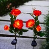XLJLKJDS Solar Rose Light, 3-Head Waterproof IP65, 2 Pack Ground