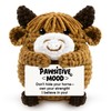Highland Cow Gifts, Positive Crochet Animals With Positive Messages