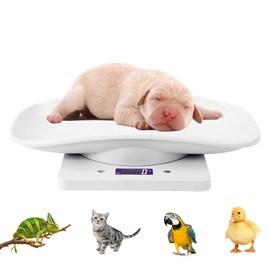 Digital Pet Scale, Portable LCD Electronic Weighing Scale with Tray(Max. 33 lbs), Small Animal Weight Scale, Multifunction Kitchen Scale for Food/Lizard/Puppy/Kitten/Hamster/Whelping