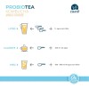 Probiotea Mango Jengibre, Añadida Con Chía 0% Zaaté Frutal