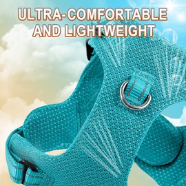 Dog Harness Step in Dog Vest Harness, Reflective Adjustable Puppy No Pull Harness Breathable Soft for Small and Medium Dogs Cats, Ocean Blue, XS