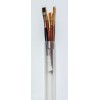 Artist Brush Carrying Tube $3.99 FLASH $2.99 Each