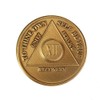 12 Year AA Medallion Traditional Bronze Raised Center Sobriety Chip