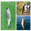 Spinnerbait Set of 30 for Mountain Streams, 0.1 - 0.1