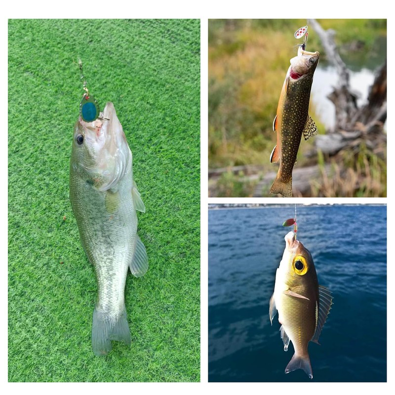 Spinnerbait Set of 30 for Mountain Streams, 0.1 - 0.1