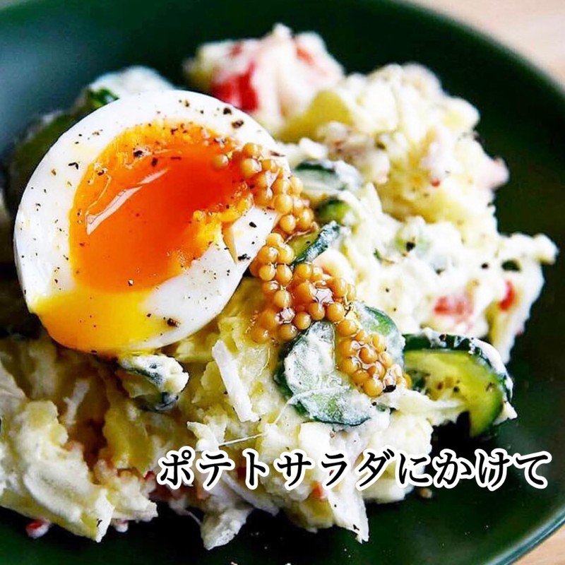 Minamikaze Master Grain Mustard Plain 17.6 oz (500 g) Commercial