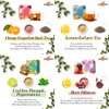 OUR TEA Hours Tea Experience Pack Set, 4 Types X4