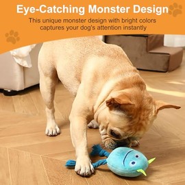 Juguetes para perros pequeos  Paquete de 2 juguetes de peluche de cuerda chirriante para razas pequeas y medianas, juguetes para cachorros para...    