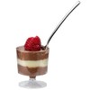Exquisite Mini Dessert Cups With Spoons 192 Pcs I Serves